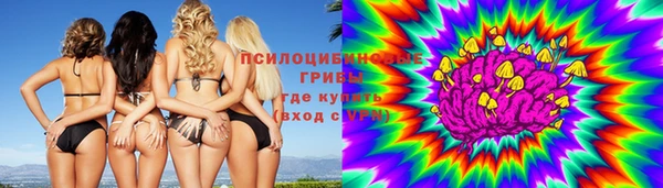 spice Пестово